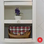 Holly House 斯培西亚